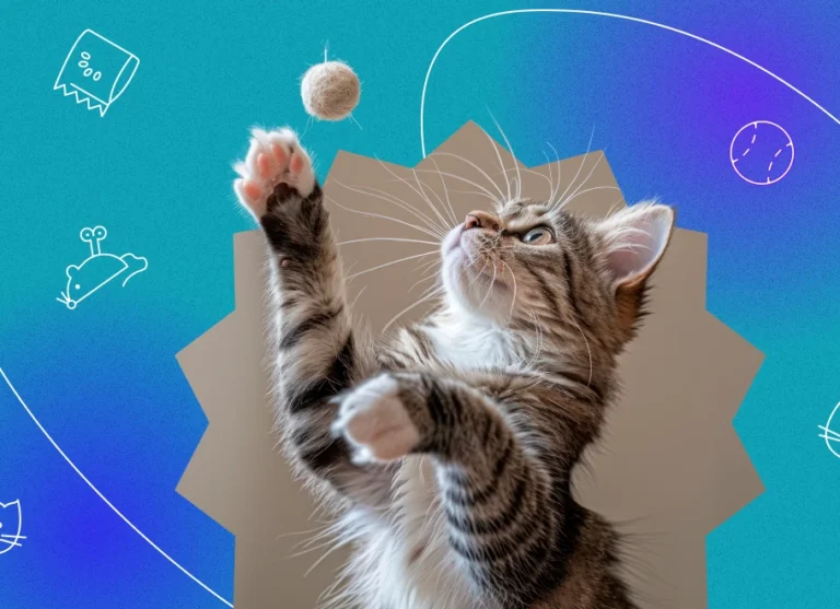 interactive electric cat ball 3